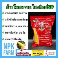 ราคา แปซิฟิค ข้าวโพดหวาน ไฮบริกซ์59 หมดอายุ 01/12/2568 ขนาด 1 .4กิโลกรัม จำนวน 8,500 เมล็ด ลอตใหม่ งอกดี (27255525809)