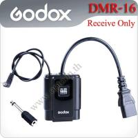 Flash light trigger DM-16 