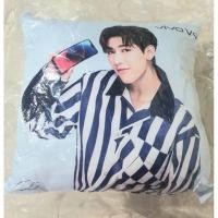 ราคา หมอน แบม แบม (ของแท้) (7745669165)