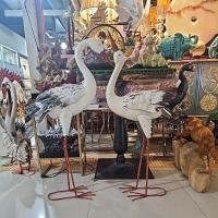ราคา นกกระเรียน นกแต่งบ้าน ขายเป็นคู่ (24645645269)