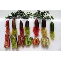 ราคา มะนาวคาเวียร์หรือมะนาวนิ้วมือ(เสียบยอดขนาด30-40ซม.) (23674559595)