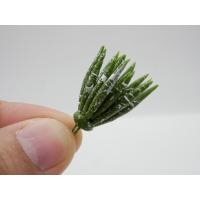 ราคา แคคตัสม้าลายจิ๋ว (ทรงกลม) Haworthia แคคตัสม้าลายดินปั้น กระบองเพชรม้าลายจิ๋ว ฮาโวเทียม้าลายยักษ์จิ๋ว ของจิ๋ว (26333233397)