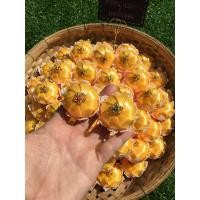 ราคา เหรียญโปรยทานขนมดาราทอง/จ่ามงกุฎ (6059681732)