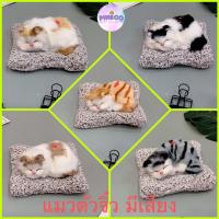 ราคา พร้อมส่ง!! ตุ๊กตาแมวดูดกลิ่น ตุ๊กตาแมวดับกลิ่น ตุ๊กตาดูดกลิ่น รุ่นแมวแคระตัวจิ๋ว มีเสียงร้อง เหมียว เหมียว ราคาถูก (7890111051)