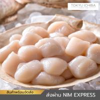 ราคา หอยเชลล์ซาซิมิ หอยเชลล์ย่าง หอยเชลล์เสียบไม้ Hotate Frozen Scallop 1,000 กรัม สินค้าแช่แข็ง พร้อมส่ง (19967465444)