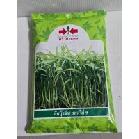 ราคา ผักบุ้งจีนตราศรแดง พันธุ์ยอดไผ่9 ขนาด 1 กก. (28936527003)