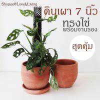 ราคา กระถางดินเผา 7 นิ้วพร้อมถาดรอง กระถางทรงไข่ กระถางดินเผาพร้อมถาดรอง ดินเผาทรงไข่ ดินเผาพร้อมที่รอง (9121561831)