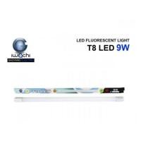 ราคา IWACHI หลอดนีออน T8 9W รุ่นใหม่ IWC-LED-T8-360-9W แสงขาว (697251740)