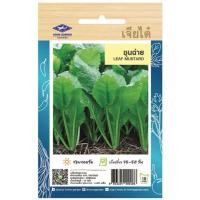 ราคา ชุนฉ่าย(LEAF MUSTARD) (26255853413)