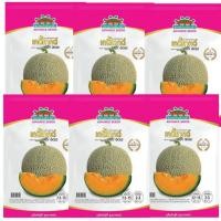 ราคา เมล็ดพันธุ์ เมล่อน เลดี้โกลด์ ซองพรีเมี่ยม 80 เมล็ด ตราตะวันต้นกล้า (26872671836)