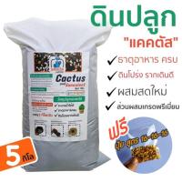 ราคา (ยกกระสอบ 5 กิโล) ดินปลูกแคคตัส ไม้อวบน้ำ ดินปลูกกระบองเพชร ผสมสำเร็จพร้อมปลูก เนื้อดินโปร่ง แร่ธาตุสูง (ดินผสมสดใหม่) (22685706040)