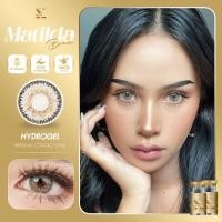 ราคา คอนแทคเลนส์ รุ่น Matilda/Florida/Lamune Gray/Brown สีเทา/ตาล มีค่าสายตา (0.00)-(-6.50) เปลี่ยนแทนทุกเดือน (27629345228)
