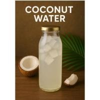 ราคา น้ำมะพร้าวน้ำหอม1ลิตร(มีส่งด่วน)น้ำมะพร้าว1ลิตร น้ำมะพร้าวน้ำหอม น้ำมะพร้าวสด (41454712529)