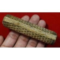 ราคา ตะกรุดหนังหน้าผากเสือ หลวงพ่อตาบ วัดมะขามเรียง จ.สระบุรี (1855232077)