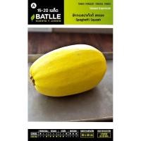 ราคา เมล็ด ฟักทองสปาเก็ตตี้ สครอช - Spaghetti Squash (136612107)