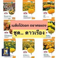 ราคา SN [ศรแดง][ชุดดอกไม้] ผักซองศรแดง เมล็ดพันธุ์ ผัก ศรแดง (25795428574)