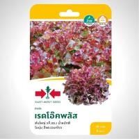 ราคา ผักสลัด เรดโอ๊ค พลัส SD/F1-089 ผักซอง ศรแดง เมล็ดพันธุ์ เมล็ดพันธุ์ผัก ผักสวนครัว ผักศรแดง ตราศรแดง (10199902456)