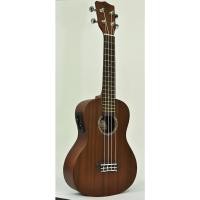 ราคา อูคูเลเล่ Concert OUK-272E2 (23222042025)