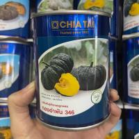 ราคา ทองอำพัน346 100กรัม ฟักทองลูกผสม เจียไต๋ (26850715392)