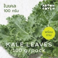 ราคา ใบเคล ปลูกเอง สด สะอาด 100 กรัม (100g per pack- Kale leaf) บรรจุกล่องพลาสติกพร้อมส่ง (41001278788)