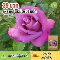 ราคา เมล็ดพันธุ์ ดอกกุหลาบเลื้อยสีม่วง 50 เมล็ด (24268684948)