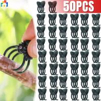 ราคา 50ชิ้นพืชเถาปีนเขาแก้ไขคลิปกล้วยไม้รูปผักลําต้นสนับสนุนหนีบสวนหวายปลูกอุปกรณ์เสริม (26221986094)