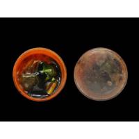 ราคา สีผึ้งเก่าไม่ทราบที่ งานเก่าตลับเก่า สีผึ้งเก่า ฝังตะกรุดปลาตะเพียนสาริกา #สาริกา #สีผึ้ง (43101766816)