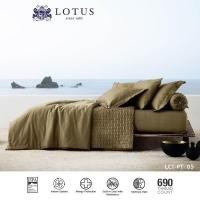ราคา LOTUS ปลอกหมอนข้าง 2ชิ้น รุ่น Plantone รหัส LCT-PT-05 (14002158567)