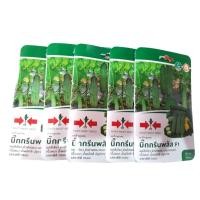 ราคา เมล็ดพันธุ์แตงกวา ศรแดง แตงร้าน แตงกวา เมล็ดคัดแล้ว (25019588732)