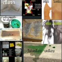 ราคา น้ำยาทากำแพงพื้นปูนกันซึม กันรั่ว กันชื้น กันเชื้อรา กันขี้ตะไคร่ กันสีร่อน กันปูนแตก (2760847515)