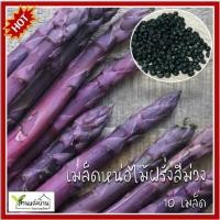 ราคา 10 เมล็ด หน่อไม้ฝรั่งสีม่วง เมล็ดหน่อไม้ฝรั่ง เมล็ดหน่อไม้ฝรั่ง หน่อไม้ฝรั่ง (24713159005)