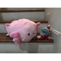 ราคา ซาลาเมนเดอร์หลาม สินค้าติดจองในไลฟ18/6 k.dolly_ (22145832035)