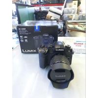 ราคา panasonic g90+lens 12-60 (21995400202)