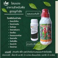 ราคา โสมแดง อาหารชูกำลังสำหรับพืชแถมฟรีสารสกักพิโก เอฟ ป้องกัน รัษาโรคพืชทุกชนิดใช้ฤดูฝนข่วยลดปุ๋ย50% ขวดใหญ่ 1 ลิตร ของแท้ (7542105842)