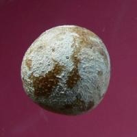 ราคา ลูกอมวัดไผ่ล้อม หลวงปู่ทิมปลุกเสก ปี 2513 พร้อมบัตรรับรอง (3332142443)