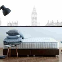 ราคา SB Design Square ที่นอน DUNLOPILLO รุ่น FOREST ขนาด 5 ฟุต แถมฟรีหมอนหนุน 2ใบ (24933865195)