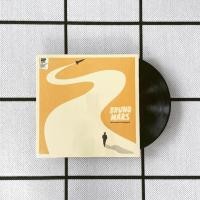 ราคา แผ่นเสียง Bruno MARS - Doo Wops & Hooligans Vinyl lp (14527898102)