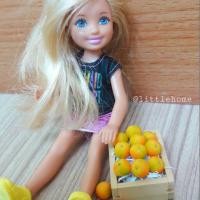 ราคา Miniature oranges box ลังส้มจิ๋ว (1405531081)