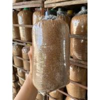 ราคา ก้อนเชื้อเห็ดนึ่งสุก ยังไม่หยอดเชื้อเห็ด ขนาด 5ก้อน (23476267498)