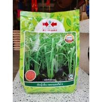 ราคา เมล็ดผักบุ้งจีน เพชรยอดไผ่9 ขนาด 1 กิโลกรัม (24717457782)