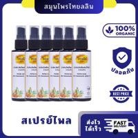 ราคา สเปรย์ สมุนไพร แก้ปวด ปวดเมื่อย : ยาสเปรย์ผสมไพร ตรา ไทยลลิน เป็นยาแผนไทย สกัดจากน้ำมันไพล ไพลสด (29308718433)