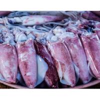 ราคา ปลาหมึกกล้วย 500 กรัม/แพ็ค (15308577741)