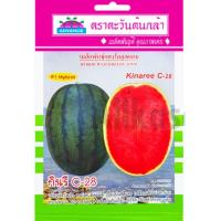 ราคา เมล็ดแตงโมลูกผสม กินรี C-28 (27302931556)