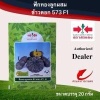 ราคา เมล็ดพันธุ์ ฟักทองลายข้าวตอก573 20g (8656435352)