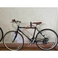 ราคา LOUIS GARNEAU BTN size500 (28836042063)