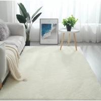 ราคา พรมปูพื้นขนนุ่มพิเศษขนาด80x120cm (20119028423)