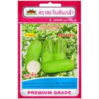 ราคา เมล็ดแฟงไส้ตันลูกผสม สลาตัน (27352932667)