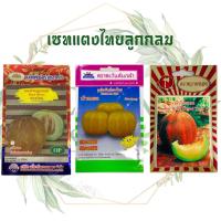 ราคา เมล็ดพันธุ์ แตงไทยลูกกลม แตงไทย บัวแดง ซอง (6618166941)