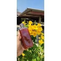 ราคา จุลินทรีย์หน่อกล้วยสูตรเข้มข้น500ml. (15236450082)