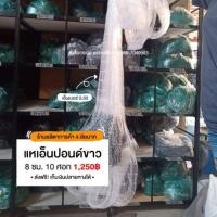 ราคา แหเอ็นปอนด์ขาว 8ซม.10ศอก (3238890537)